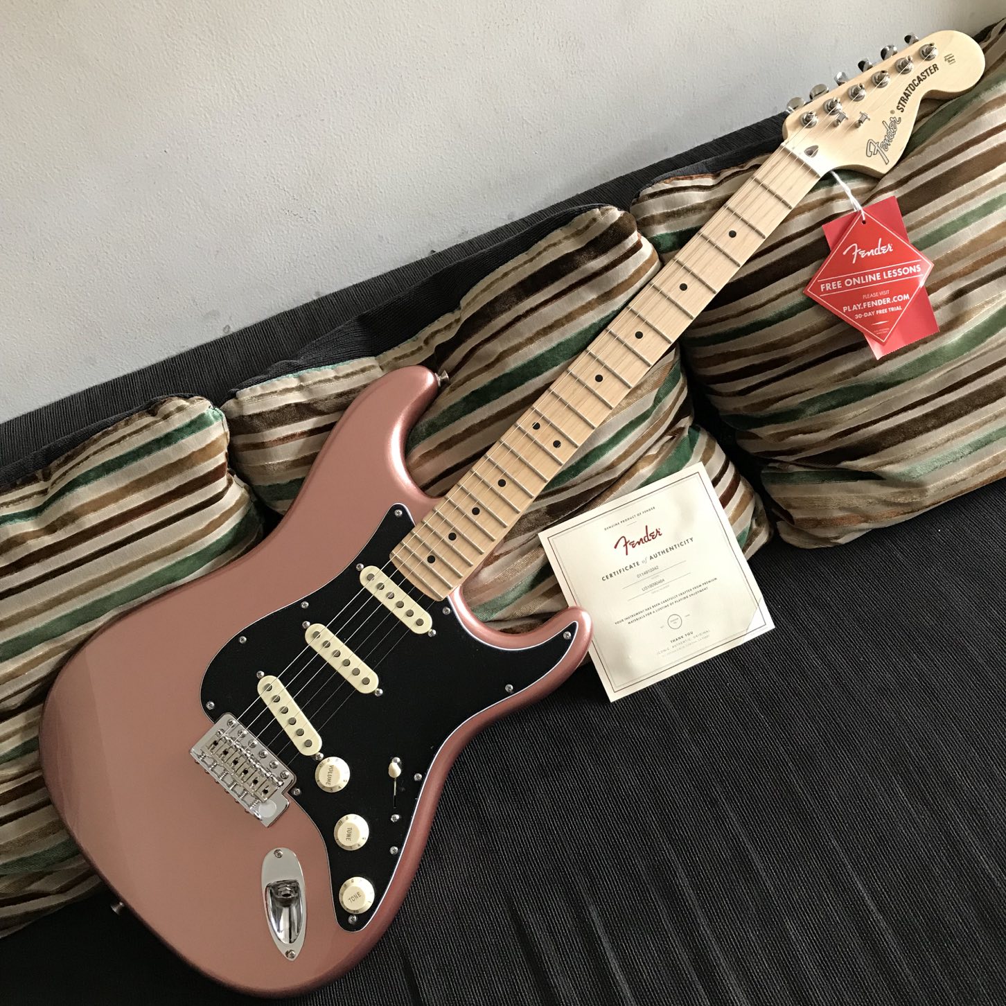 Fender Usa American Performer Stratocaster – Penny – Gooswyn Guitar