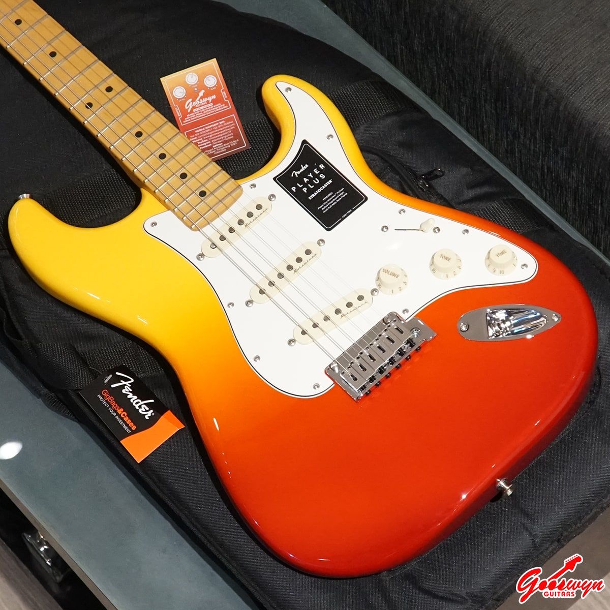 Fender Player Plus Stratocaster Tequila Sunrise – Gooswyn Guitar