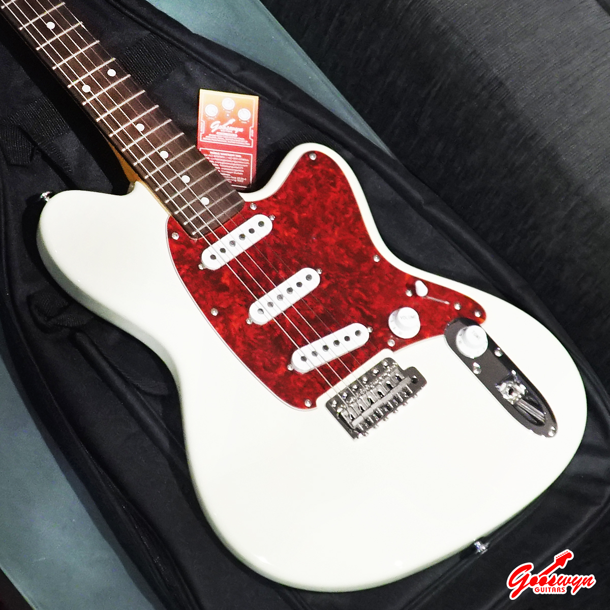 Ibanez J-Line Talman TM730 IV Ivory 2023 – Gooswyn Guitar